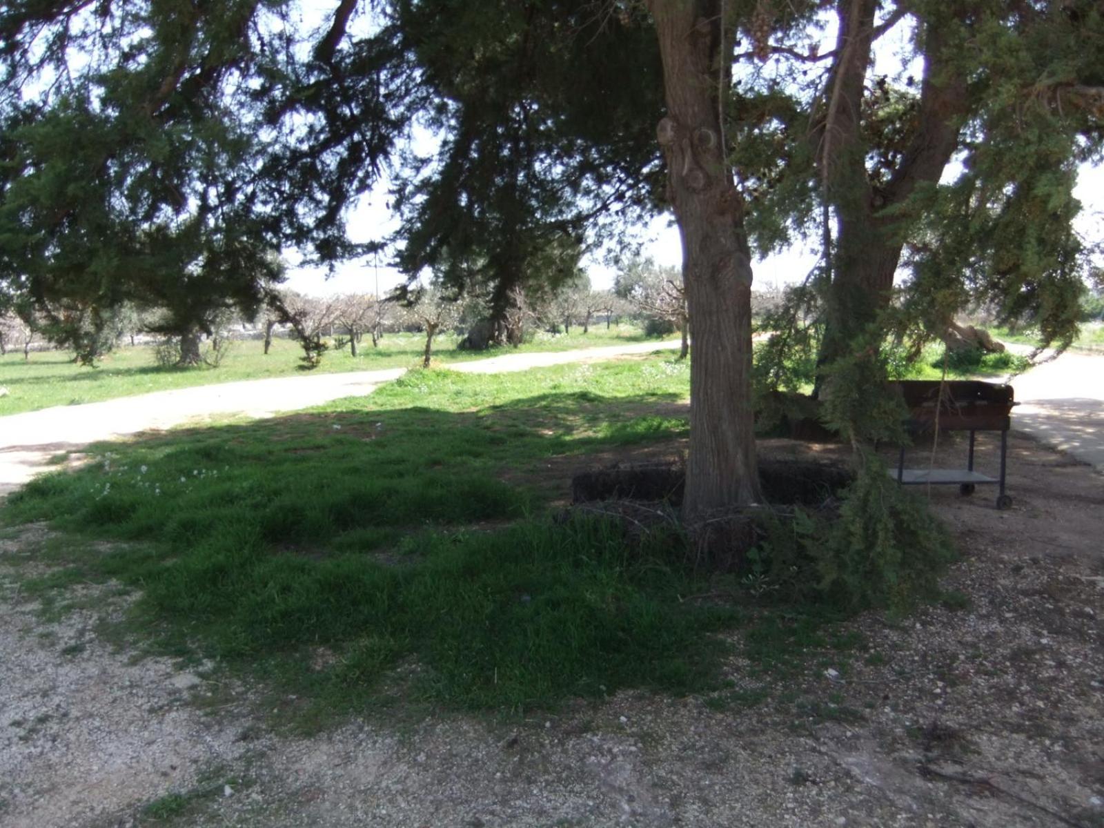 Masseria La Luna Nel Pozzo Кастеллана-Гротте Экстерьер фото